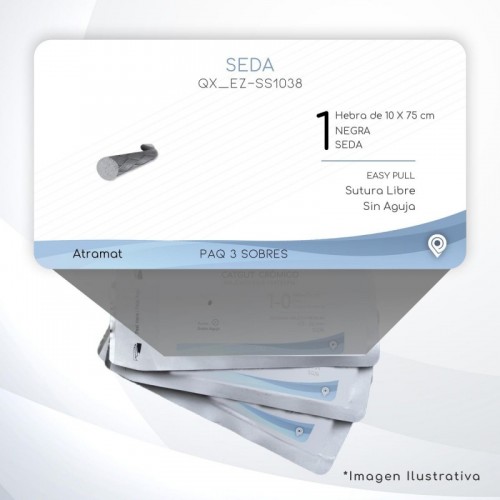 EZ-SS1038