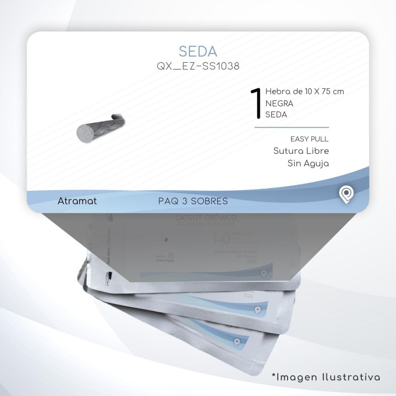 EZ-SS1038